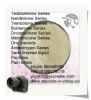 Methyltrienolone Bulk Steroid Powder For Musle Supplements